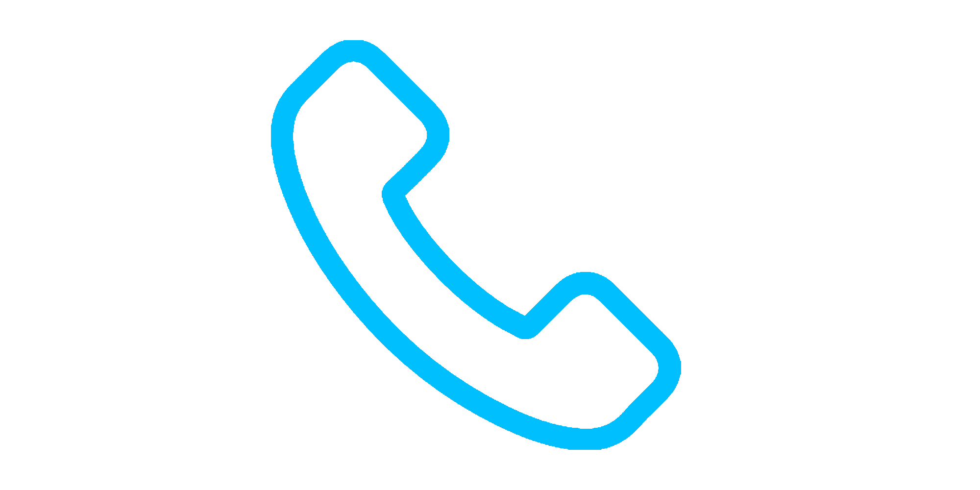 Calls Icon