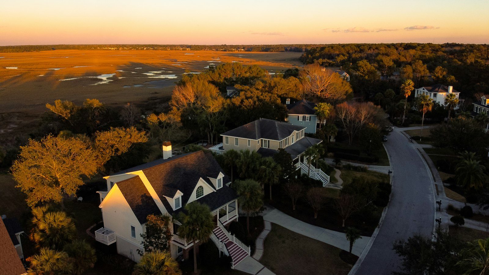 Homes among mature trees at sunset
